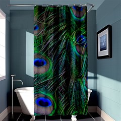 Beautiful Peacock Feathers Shower Curtain 36  X 72  (stall)  by Ravend