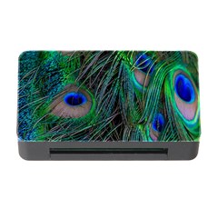 Beautiful Peacock Feathers Memory Card Reader With Cf by Ravend