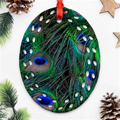 Beautiful Peacock Feathers Oval Filigree Ornament (two Sides) by Ravend