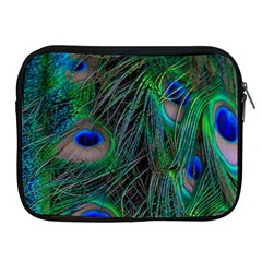 Beautiful Peacock Feathers Apple Ipad 2/3/4 Zipper Cases by Ravend