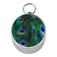 Beautiful Peacock Feathers Mini Silver Compasses by Ravend