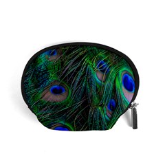 Beautiful Peacock Feathers Accessory Pouch (small) by Ravend