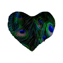 Beautiful Peacock Feathers Standard 16  Premium Flano Heart Shape Cushions by Ravend