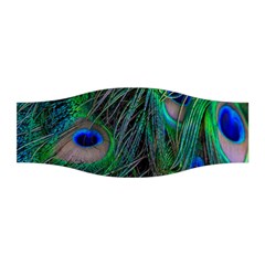 Beautiful Peacock Feathers Stretchable Headband by Ravend