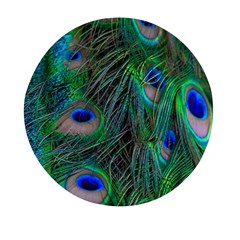 Beautiful Peacock Feathers Mini Round Pill Box by Ravend