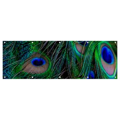 Beautiful Peacock Feathers Banner And Sign 12  X 4  by Ravend