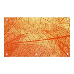 Orange Leaf Texture Pattern Banner and Sign 5  x 3 