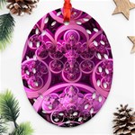 Fractal-math-geometry-visualization Pink Ornament (Oval Filigree) Front