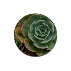 Green Orchid Plant Pattern Magnet 3  (round) by Ravend