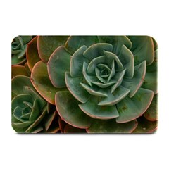 Green Orchid Plant Pattern Plate Mats