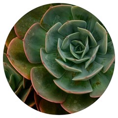 Green Orchid Plant Pattern Round Trivet