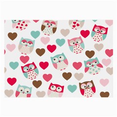 Lovely Owls Large Glasses Cloth (2 Sides) by ConteMonfrey