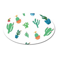 Among Succulents And Cactus  Oval Magnet by ConteMonfrey