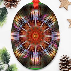 Mandala Trees Flower Psychedelic Oval Ornament (two Sides) by danenraven