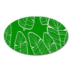 Green Banana Leaves Oval Magnet by ConteMonfrey