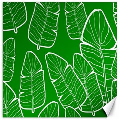 Green Banana Leaves Canvas 12  X 12  by ConteMonfrey