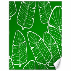 Green Banana Leaves Canvas 18  X 24  by ConteMonfrey