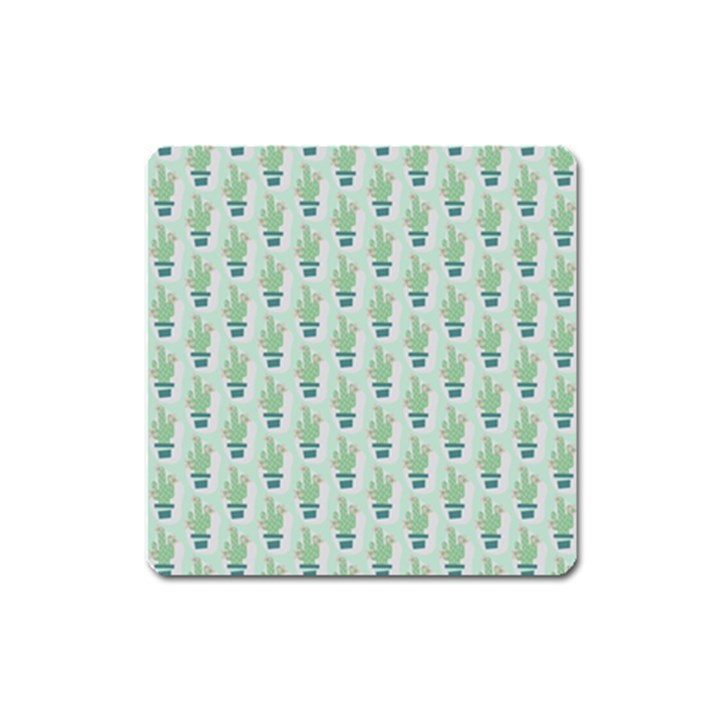 Cuteness Overload of Cactus!  Square Magnet