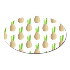 Succulent Vases  Oval Magnet by ConteMonfrey