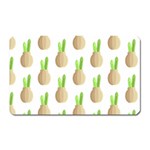 Succulent Vases  Magnet (Rectangular) Front