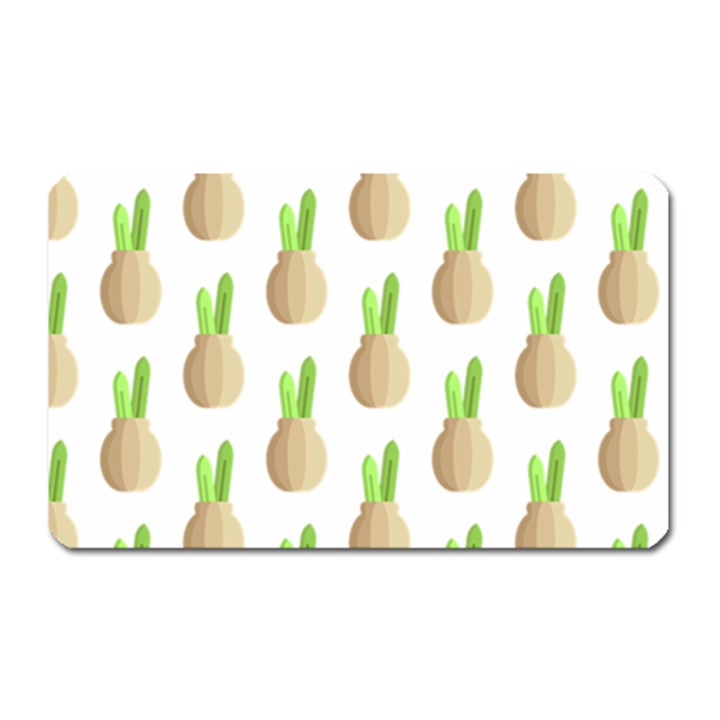 Succulent Vases  Magnet (Rectangular)