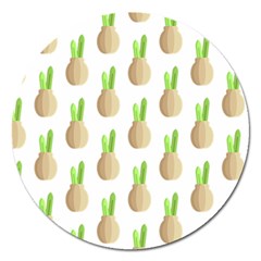 Succulent Vases  Magnet 5  (round) by ConteMonfrey