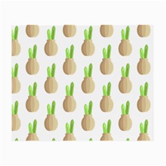 Succulent Vases  Small Glasses Cloth (2 Sides) by ConteMonfrey