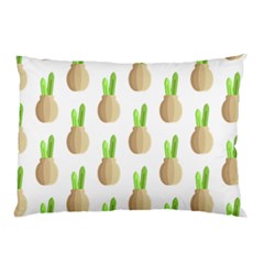 Succulent Vases  Pillow Case by ConteMonfrey