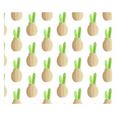 Succulent Vases  Double Sided Flano Blanket (small)  by ConteMonfrey