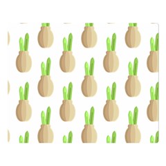 Succulent Vases  Double Sided Flano Blanket (large) 