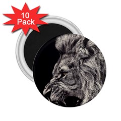 Angry Male Lion 2 25  Magnets (10 Pack) 