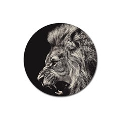 Angry Male Lion Magnet 3  (round)