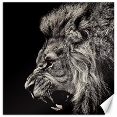 Angry Male Lion Canvas 12  X 12 