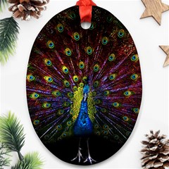 Beautiful Peacock Feather Oval Ornament (two Sides)