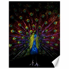 Beautiful Peacock Feather Canvas 12  X 16 