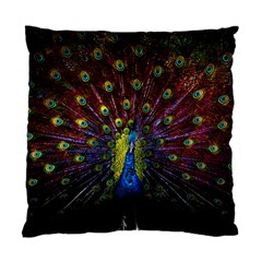 Beautiful Peacock Feather Standard Cushion Case (two Sides)