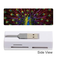 Beautiful Peacock Feather Memory Card Reader (stick)