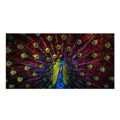 Beautiful Peacock Feather Satin Shawl 45  X 80 