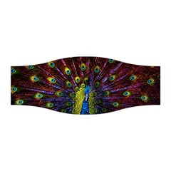 Beautiful Peacock Feather Stretchable Headband