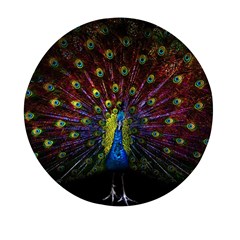 Beautiful Peacock Feather Mini Round Pill Box by Jancukart