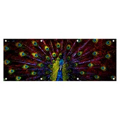 Beautiful Peacock Feather Banner And Sign 8  X 3 