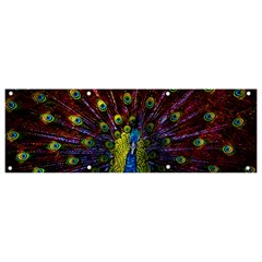 Beautiful Peacock Feather Banner And Sign 9  X 3  by Jancukart