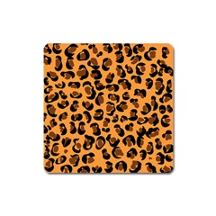 Leopard Print Peach Colors Magnet (square) by ConteMonfreyShop