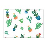 Among Succulents And Cactus  Sticker A4 (100 pack) Front