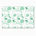 Green Nature Leaves Draw    Postcards 5  x 7  (Pkg of 10) Front