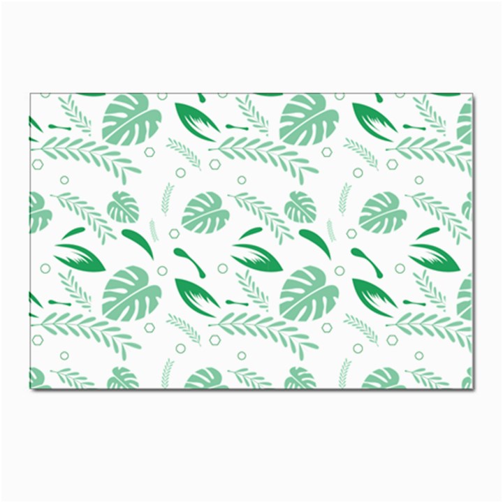 Green Nature Leaves Draw    Postcards 5  x 7  (Pkg of 10)