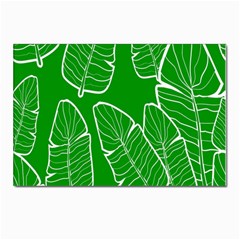 Green Banana Leaves Postcard 4 x 6  (pkg Of 10) by ConteMonfreyShop