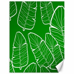 Green Banana Leaves Canvas 12  X 16  by ConteMonfreyShop