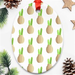 Succulent Vases  Ornament (oval)