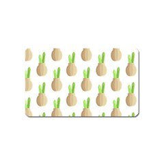 Succulent Vases  Magnet (name Card)